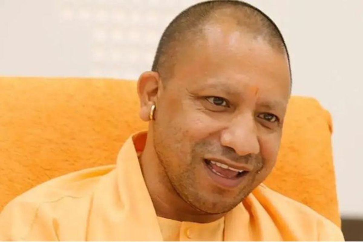 yogi_1.jpg