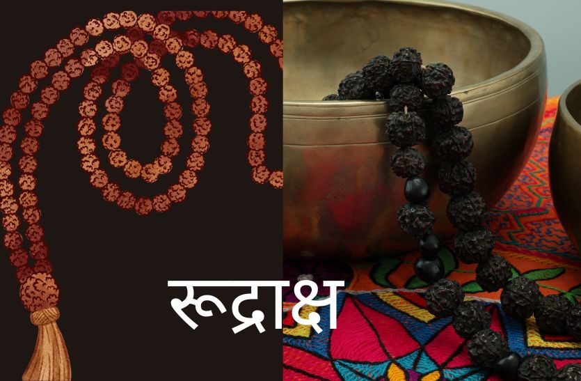 Origin and Composition of Rudraksha - Rudrakripa