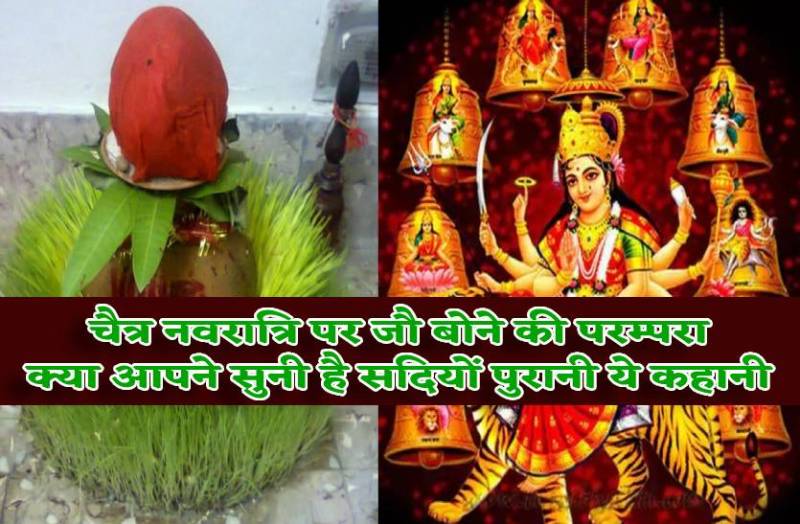 chaitra_navratri_me_jau_bone_ki_parampara_kyun_hai_iska_mahatva_aur_vidhi_bhi.jpg