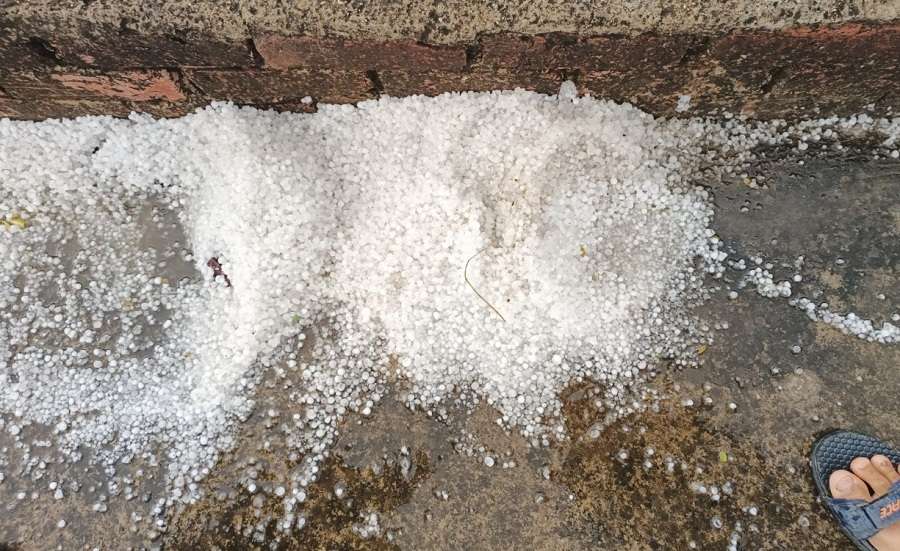 Rajasthan Weather : राजस्थान में तेज हवा के साथ आई बारिश, किसानों की चिंता बढ़ी