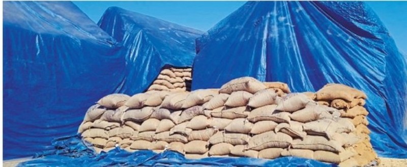 धान की बंपर आवक, खरीदी का लक्ष्य पार