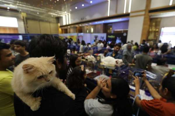 अहमदाबाद में कैट शो, चश्मा लगाए बिल्ली ने जमाया आकर्षण