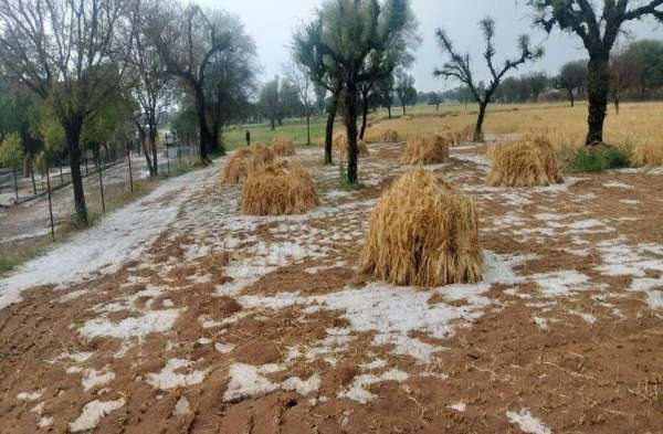 तेज बारिश के साथ ओलावृष्टि