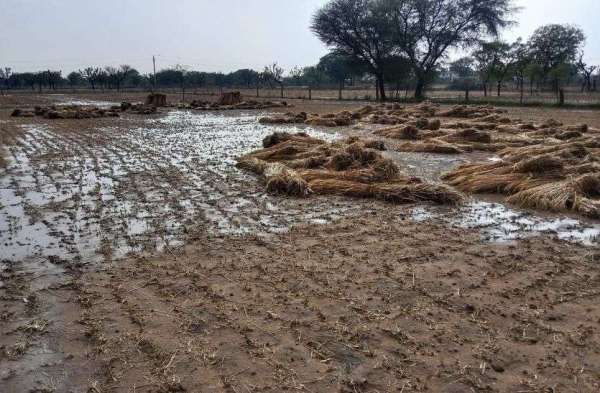 तेज बारिश के साथ ओलावृष्टि