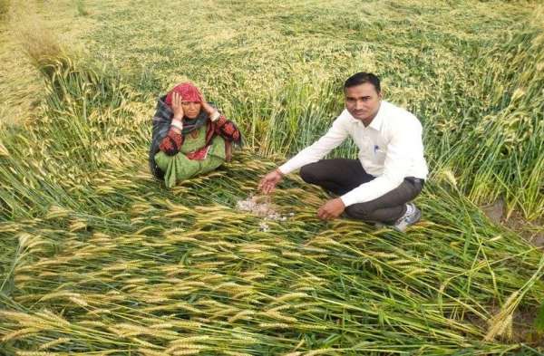 तेज बारिश के साथ ओलावृष्टि