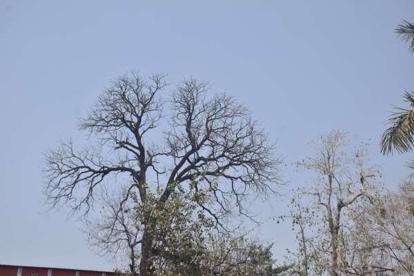 गर्मी मे बारिश 