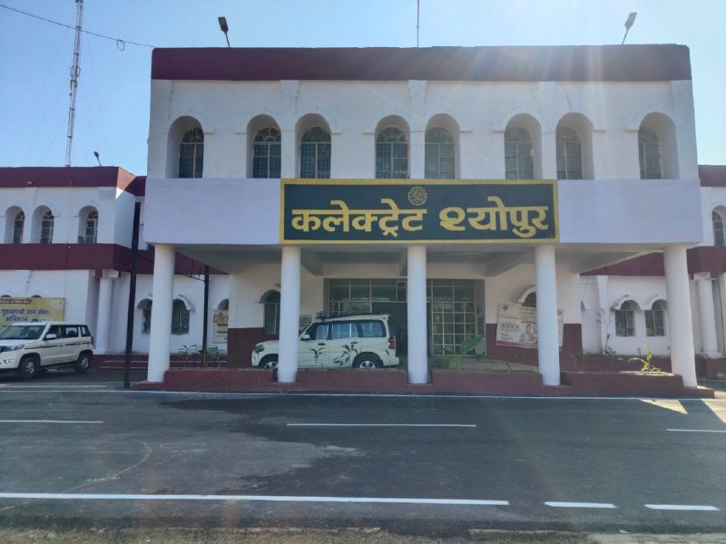 मुख्यमंत्री मॉनिट के 40 और सीएम हाउस के 245 प्रकरणों में मांगा जवाब, अधिकारियों ने सिर्फ 85 में की किया रिप्लाय