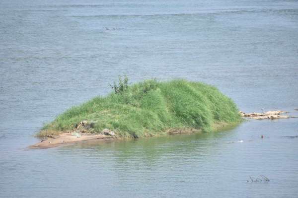 नर्मदा का जलस्तर घटा, दिखने लगे टापू