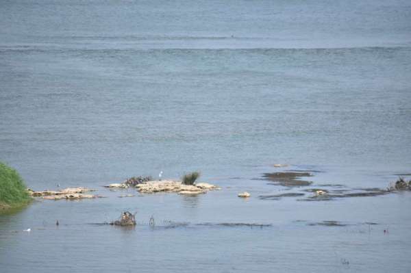 नर्मदा का जलस्तर घटा, दिखने लगे टापू