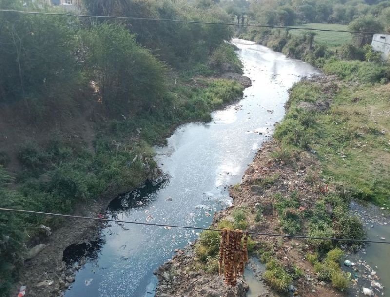 चिप्स कारखाना: 15 किमी के दायरे में काली हो गई नदी