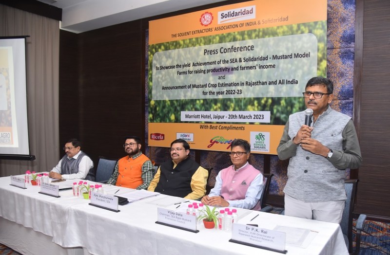 सरसों की रिकॉर्ड पैदावार, एमएसपी से नीचे बिक रही फसल...किसानों को नुकसान