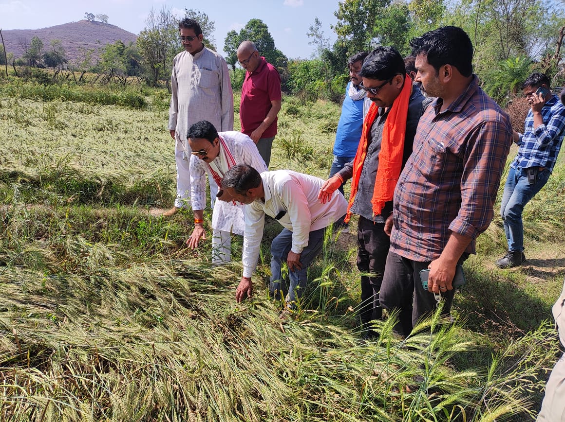 बारिश-ओला के बाद अब खेतों-खलिहानों में पहुंच रहे, मंत्री, अधिकारी और नेता