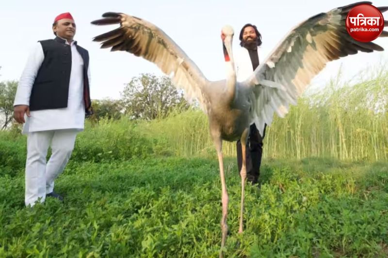 Amethi Arif-Sarus Friendship