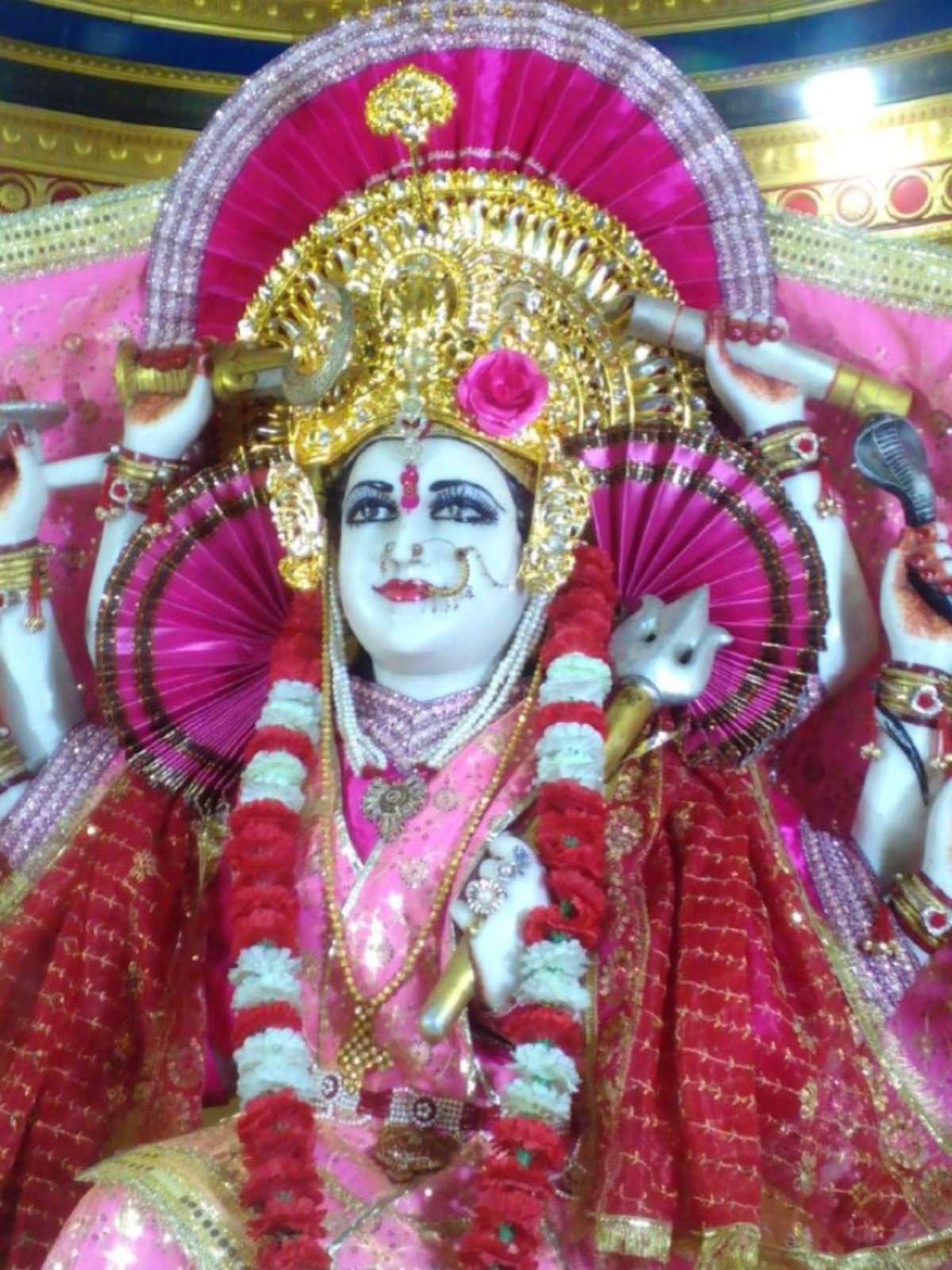 Chaitra Navratri Rahu-Ketu Upay: नवरात्रि में करें उपायों से दूर होगी राहु-केतु की परेशानी