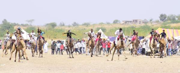 तिलवाड़ा मेले में पहली बार ऊंट दौड़