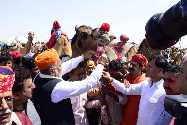 तिलवाड़ा मेले में पहली बार ऊंट दौड़