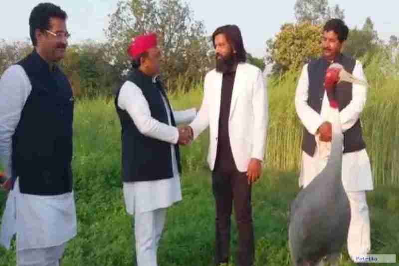 Arif stork missing from Bird Sanctuary