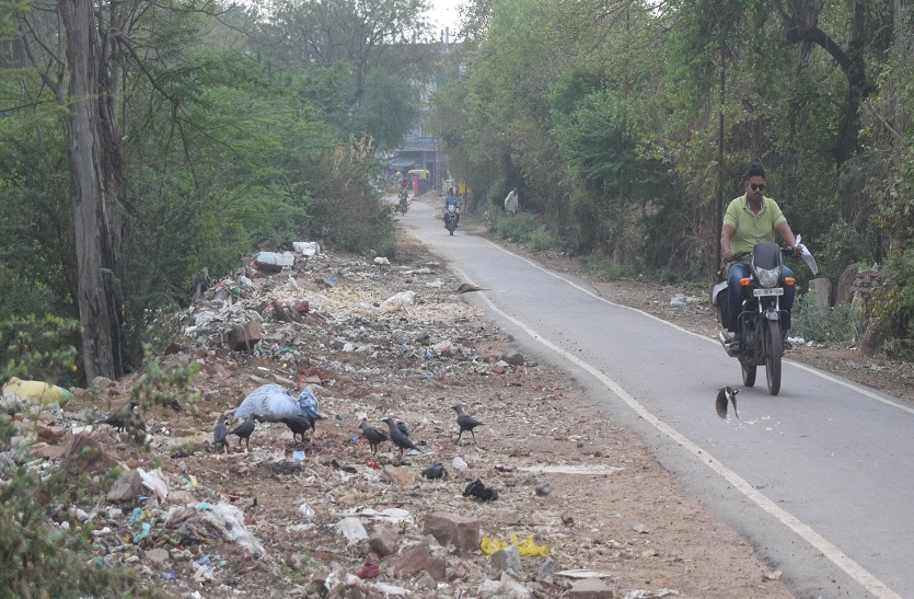 कॉलेज मार्ग को बनाया डंपिंग यार्ड, दुर्गंध से निकलना मुश्किल