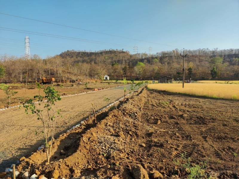 कॉलोनाइजर पर केस, आधा दर्जन से अधिक फॉर्म हाउस को नोटिस