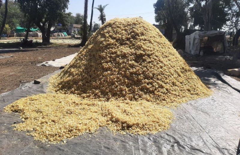 महू में बनेगा प्रदेश का पहला आलू चिप्स क्लस्टर