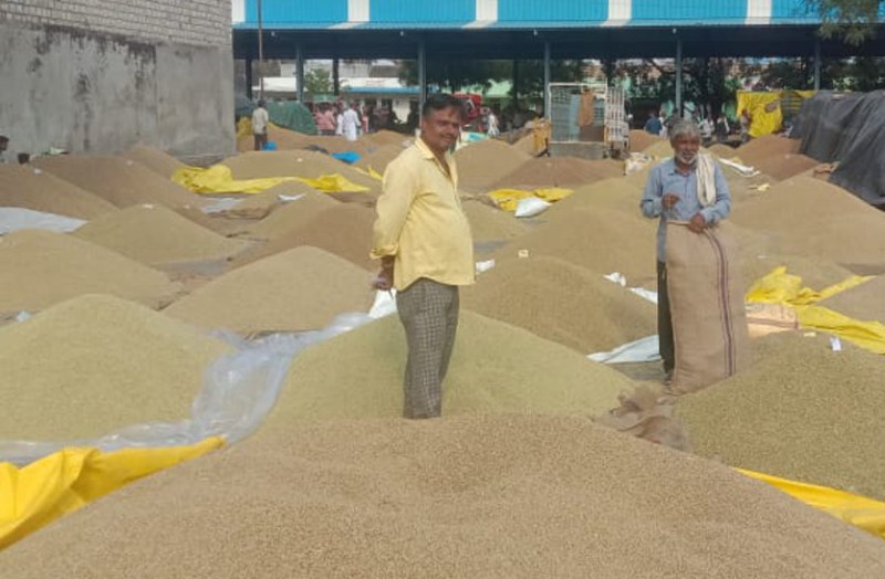 Ramganj Mandi Bhav:Arrival of thirty thousand bags of coriander