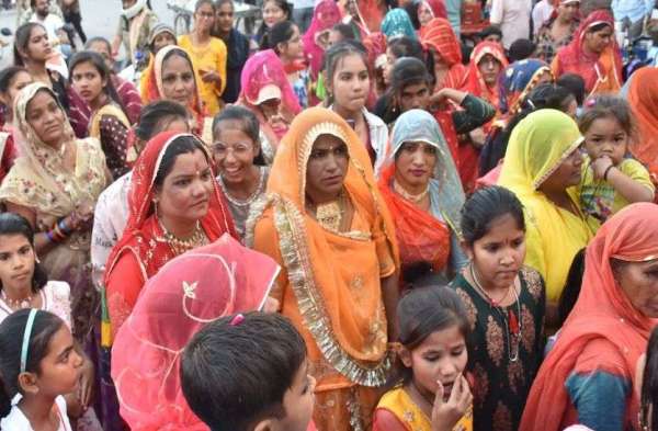 Nagaur gangour photo