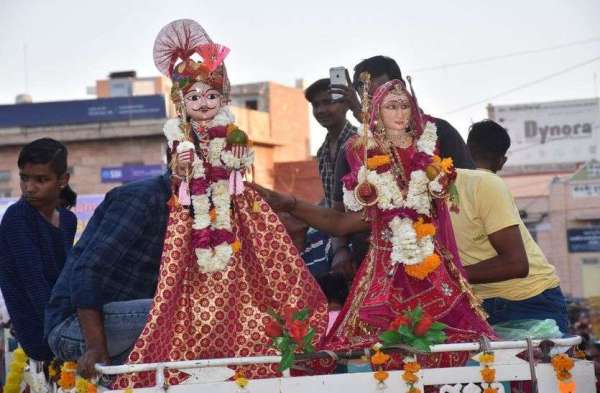 Nagaur gangour photo