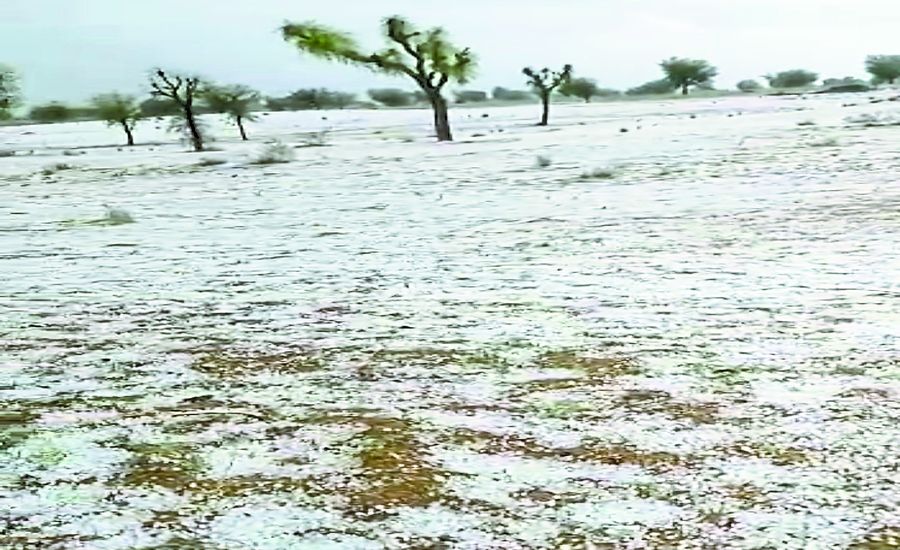 रेगिस्तान में कश्मीर सा नजारा