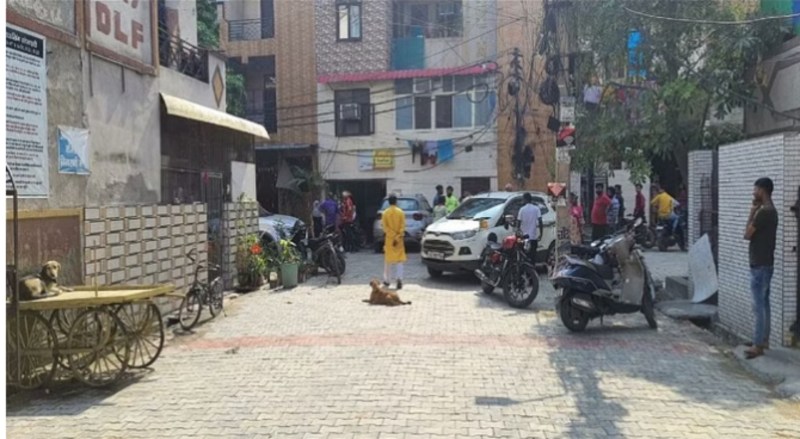 पिटबुल ने नौ साल के बच्चे को काटकर किया जख्मी, अस्पताल में भर्ती