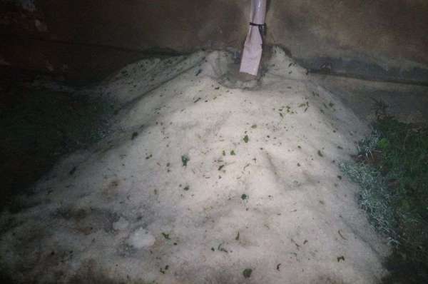 Hail rained havoc on food providers, crops were destroyed