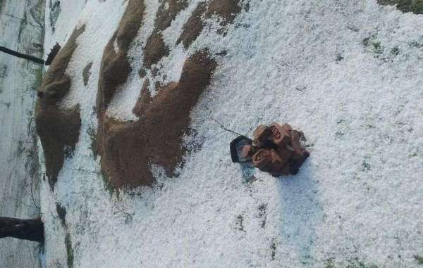 Hail rained havoc on food providers, crops were destroyed