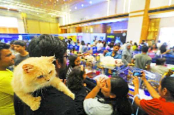 कोई अपनी बिल्ली को चश्मा लगाकर साथ लाया तो कोई उसे आकर्षक तरीके से सजा धजाकर लाया था।