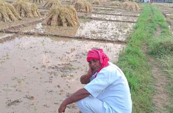hailstorm in alwar rajasthan