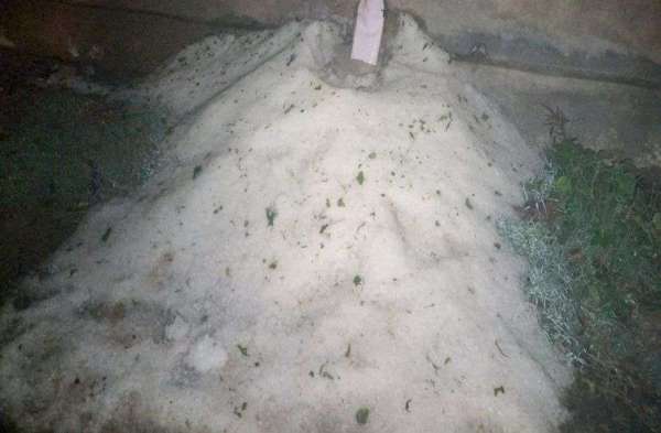 hailstorm in alwar rajasthan