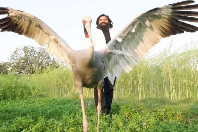 Arif in trouble after befriending a stork