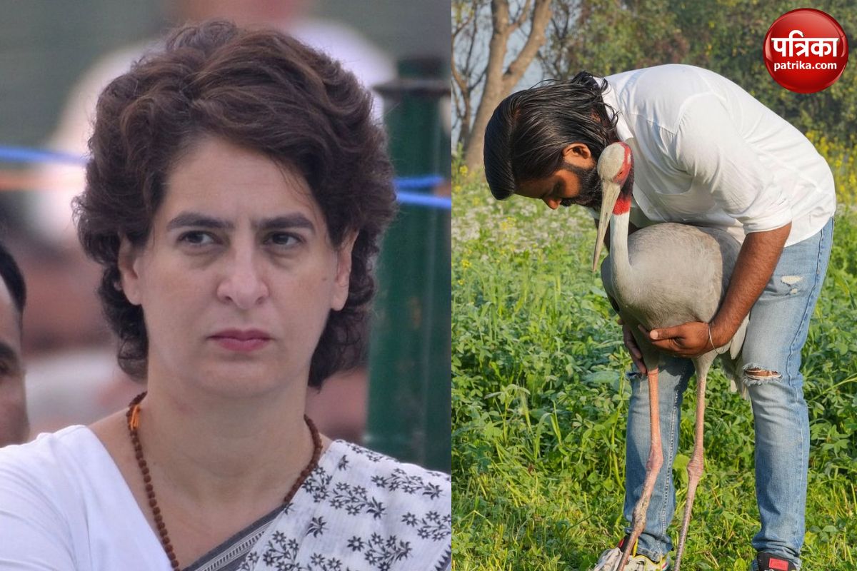 priyanka gandhi statement on arif saras freindship