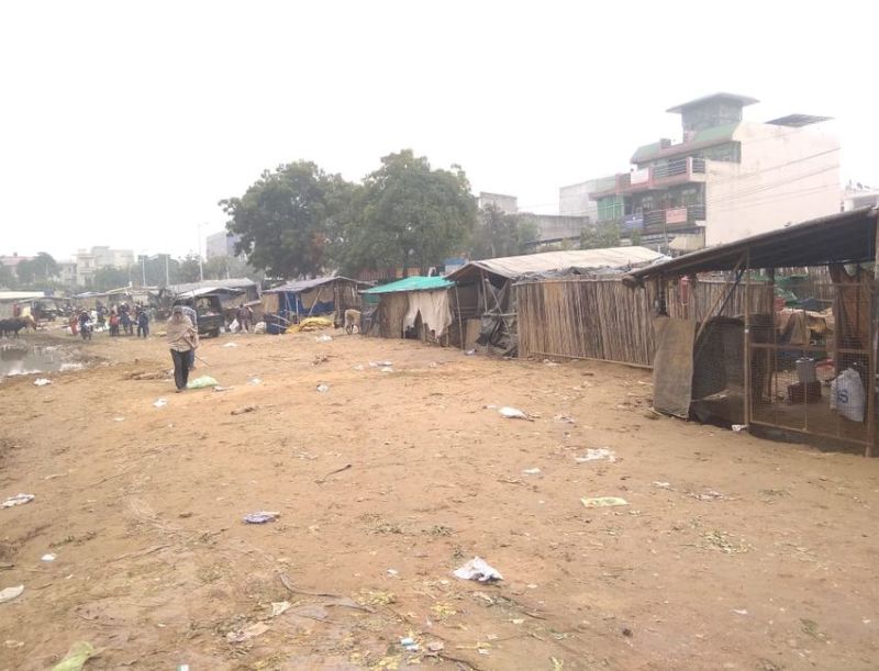 तीन साल से खुले आसमान के नीचे कर रहे इंतजार, कब होगा नव सृजित फल-सब्जी मंडी में दुकानों का आवंटन