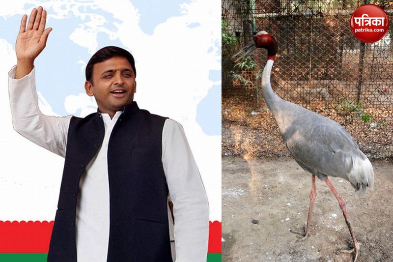 Akhilesh reached Kanpur Zoo to meet Arif Saras