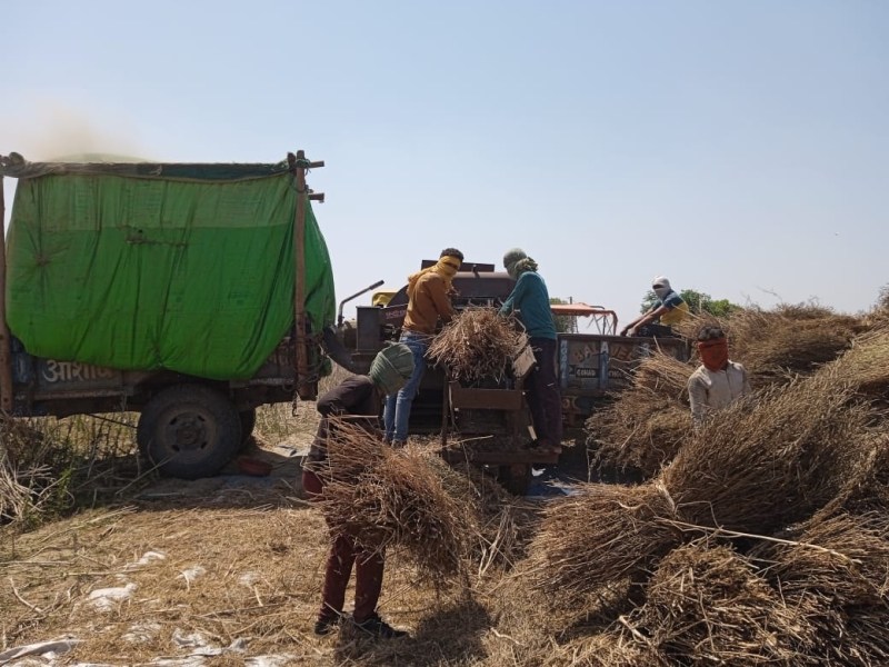 मौसम की मार झेल रहे किसान