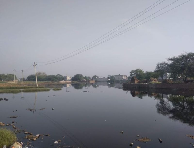 सीईटीपी निर्माण की धीमी प्रक्रिया, शाहड़ौद गांव के खेतों में भरता है इकाइयों का दूषित पानी