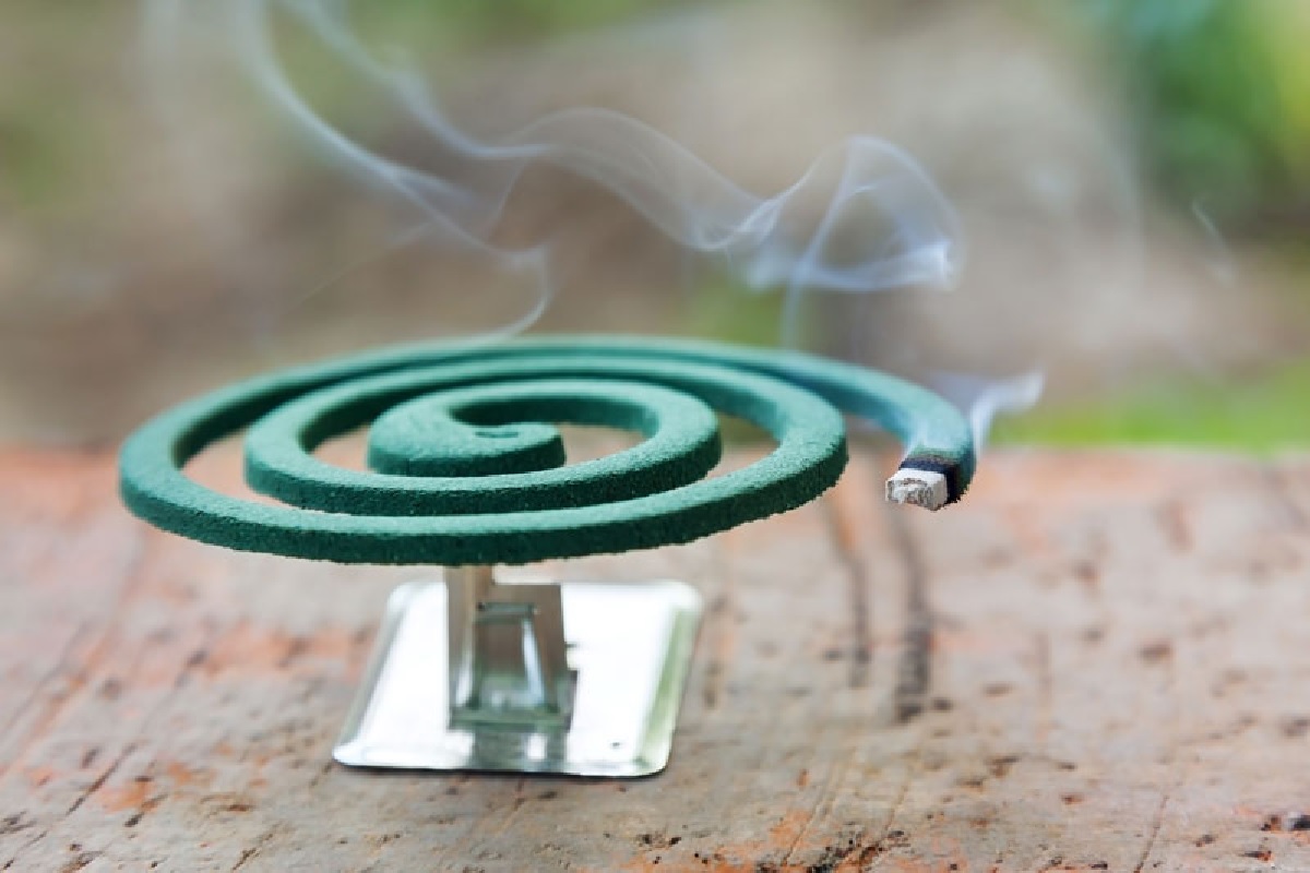 mosquito_coil.jpg
