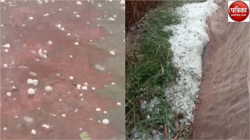 Farrukhabad: बेमौसम बारिश का असर खरबूजा और तरबूज पर भी, लागत निकलना मुश्किल