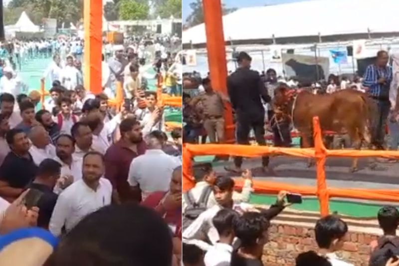 Muzaffarnagar Pashu Mela