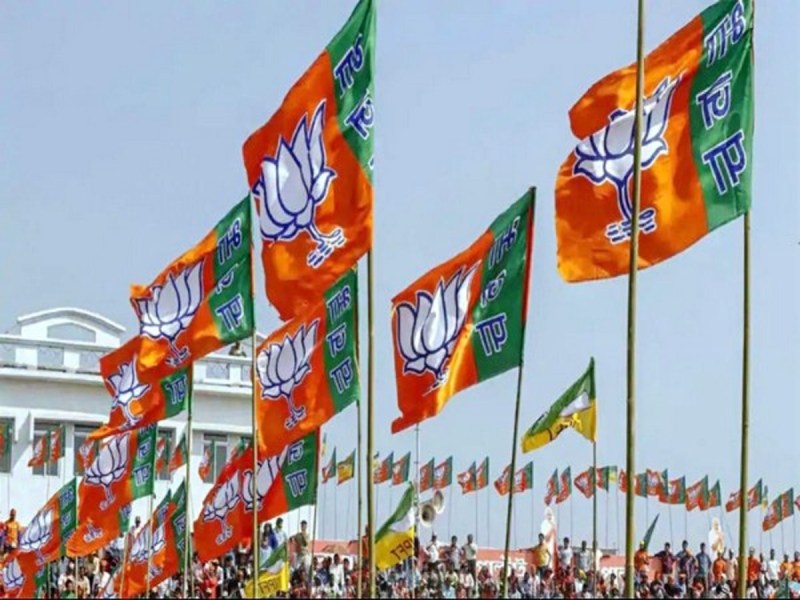bjp_flags.jpg