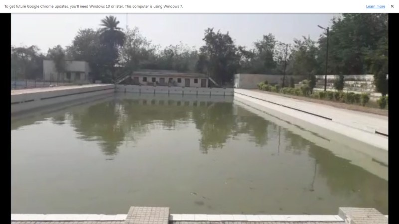 Fishes and frogs in Vindhya's Mihir Sen swimming pool