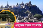 vegetarian_city.jpg