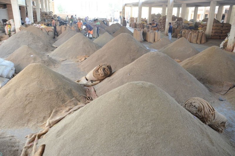 अन्तरराष्ट्रीय बाजार में बढी मांग का असर , जीरा 20 दिन में 15 से बढकर हुआ 41 हजारी प्रति क्विंटल