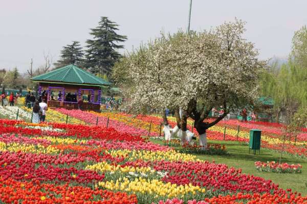 पिछले साल की मुकाबले यहां ज्यादा रौनक है