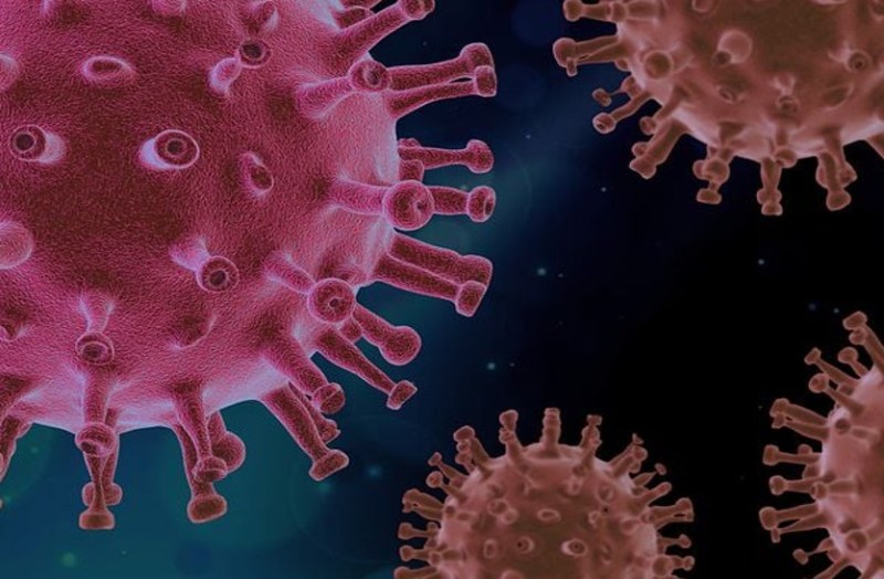 corona returns : कोरोना से 13 दिन में हुई 13 मरीजों की मौत, फिर भी की जा रही इतनी बड़ी लापरवाही