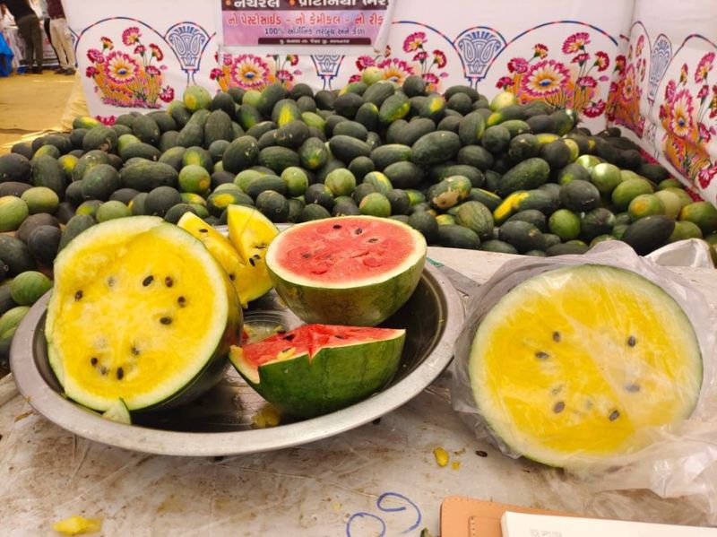 OMG : पीले तरबूज बने आकर्षण का केंद्र